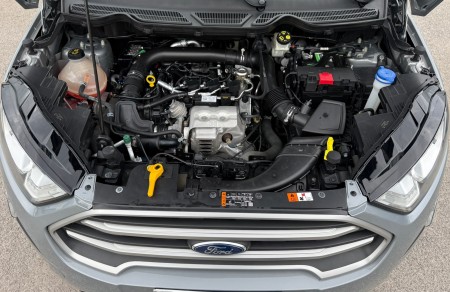 Ford Ecosport Business 1.0 Benzina 100 Cv 2020 