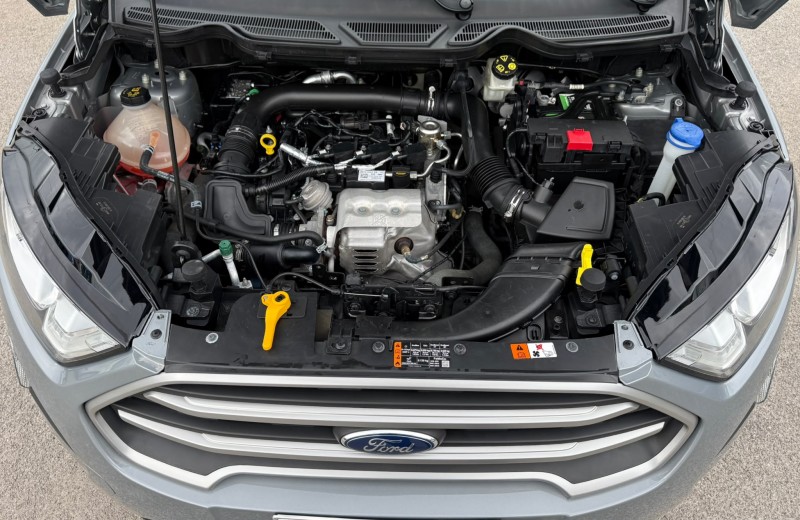 Ford Ecosport Business 1.0 Benzina 100 Cv 2020 